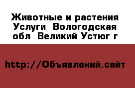 Животные и растения Услуги. Вологодская обл.,Великий Устюг г.